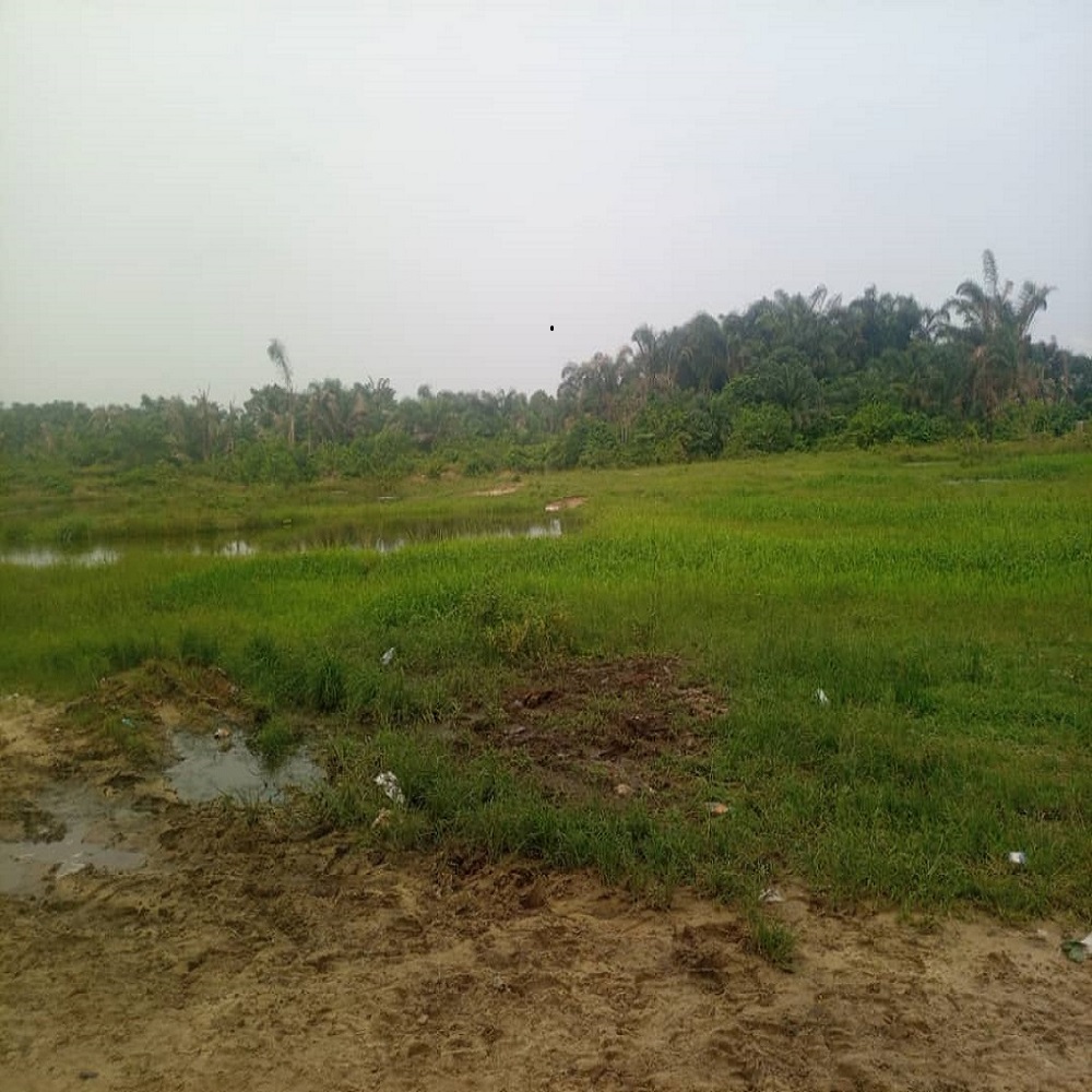 layout